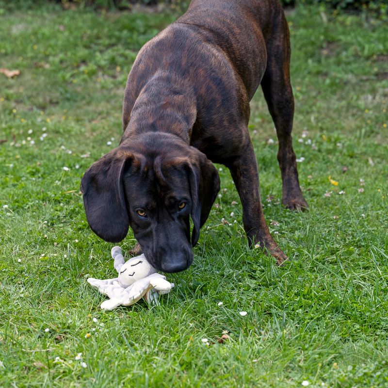 TIAKI dog toy owl Dou Dou L x W x H) 17 x H 6 cm