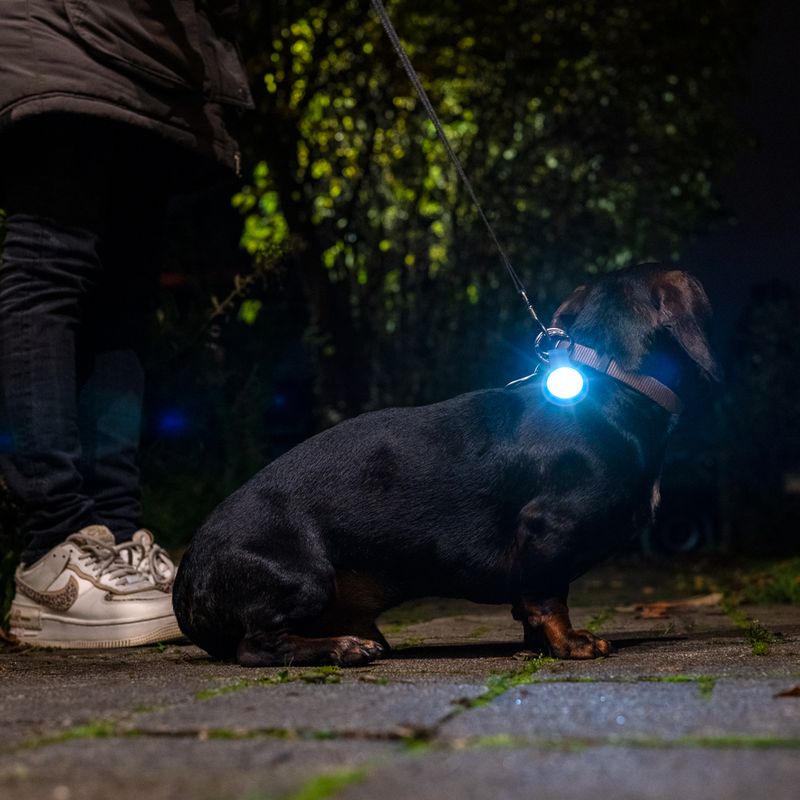 Nomad Tales Bloom USB light pendant High Light blue