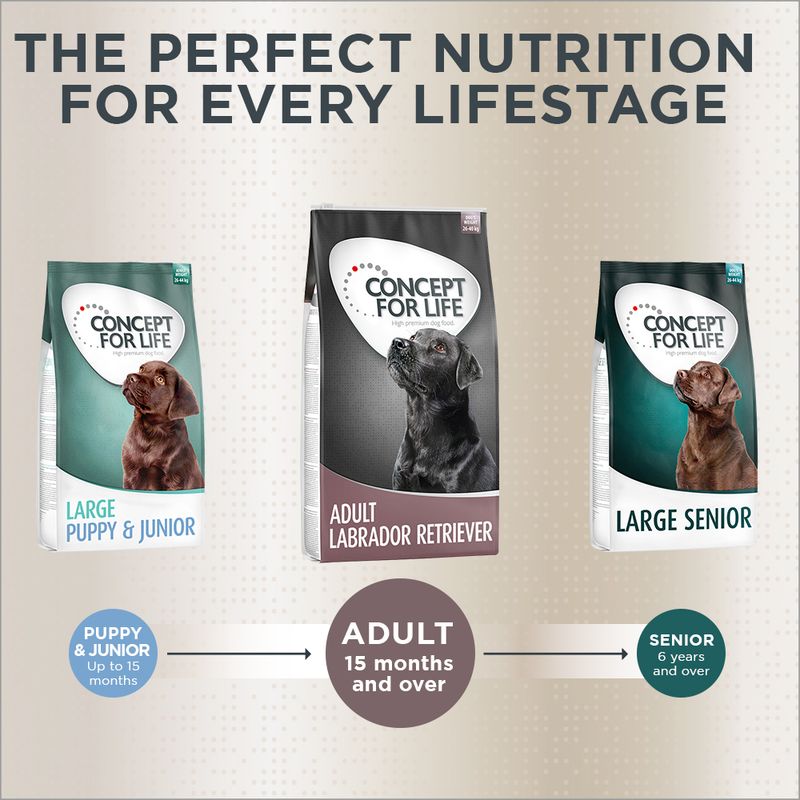 Concept for Life Labrador Retriever Adult 1.5kg