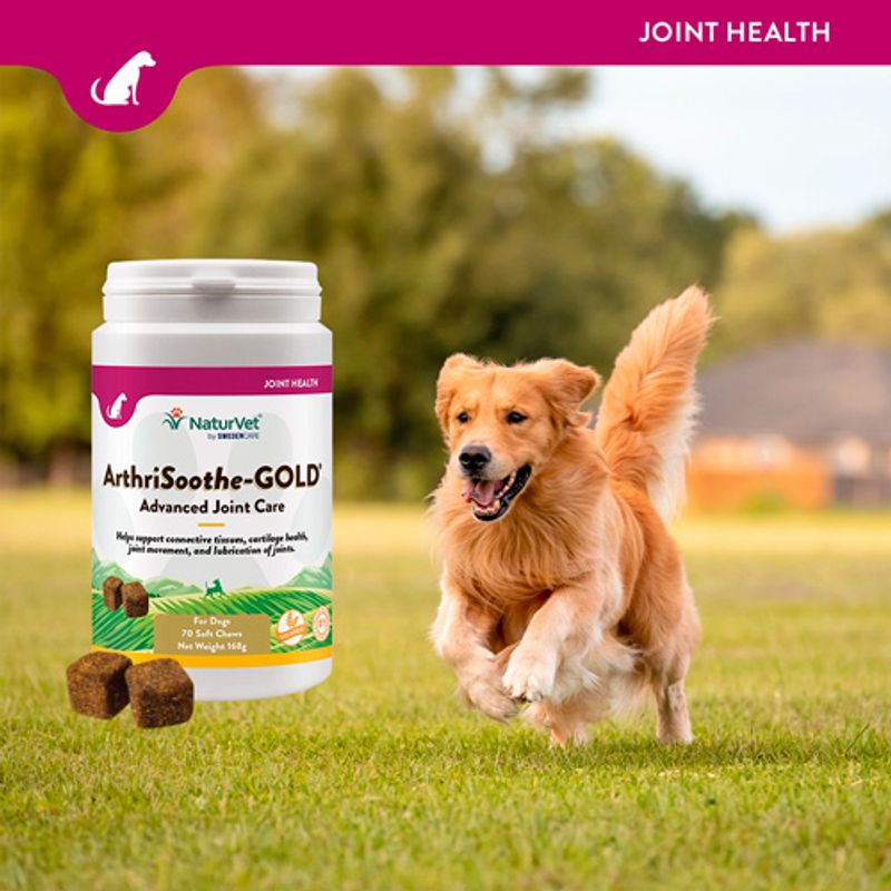 NaturVet ArthriSoothe-Gold Snacks 70 Chews