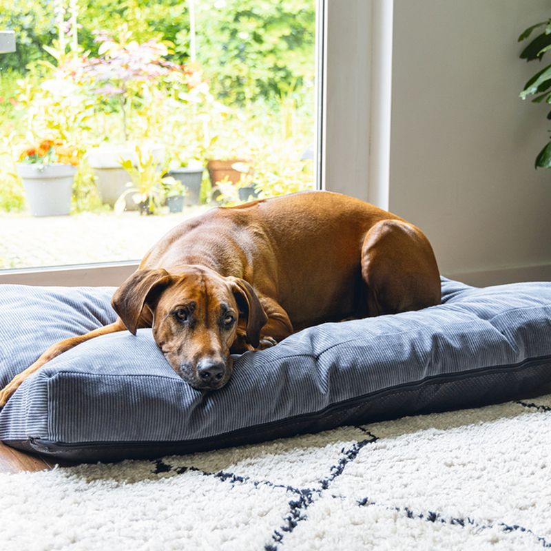 beeztees Veo Orthopaedic Cushion - Dark Grey approx. 75 x 50 x 9cm (L x W x H)