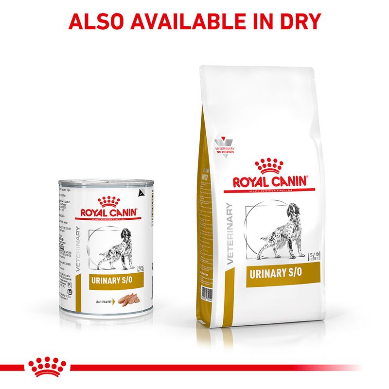 Royal Canin Veterinary Dog - Urinary S/O Loaf 12 x 410g