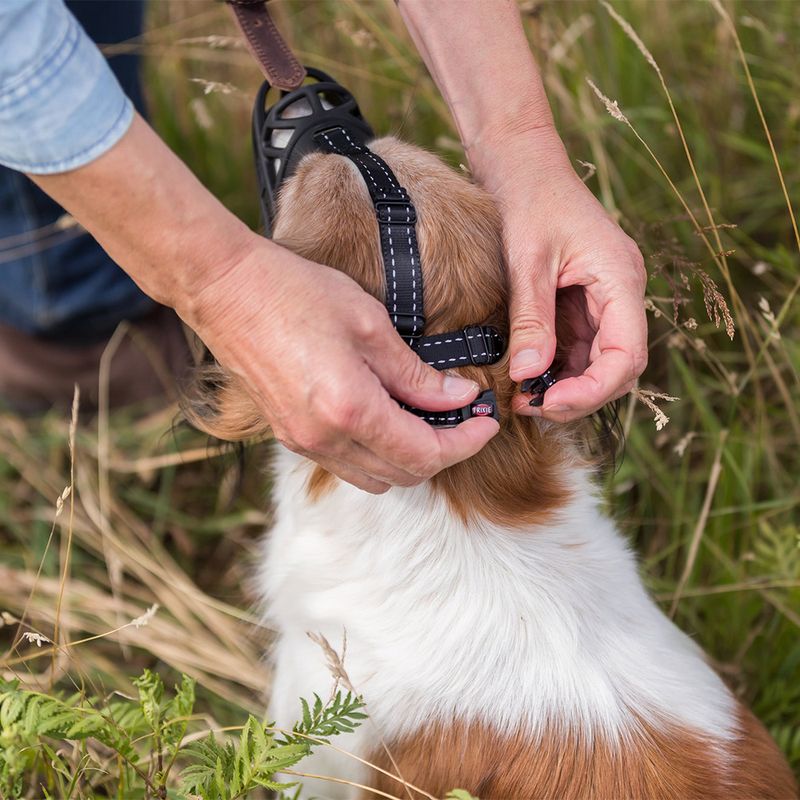 Trixie Flex Rubber Muzzle Size S: Jack Russell, Miniature Poodle