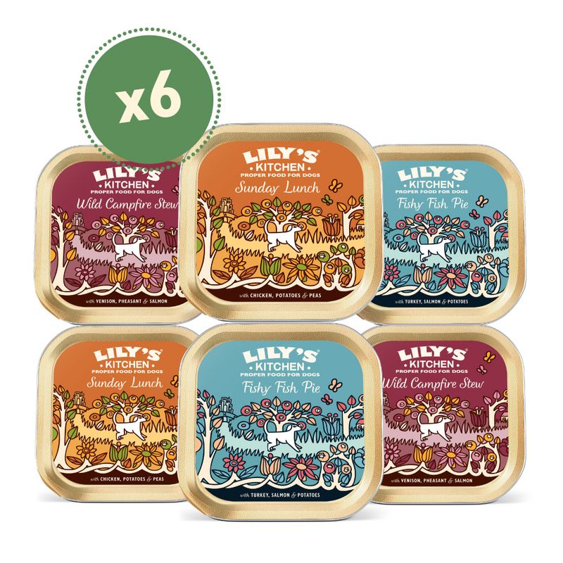 Lily's Kitchen Grain-Free Dinners for Dogs 6 x 150g