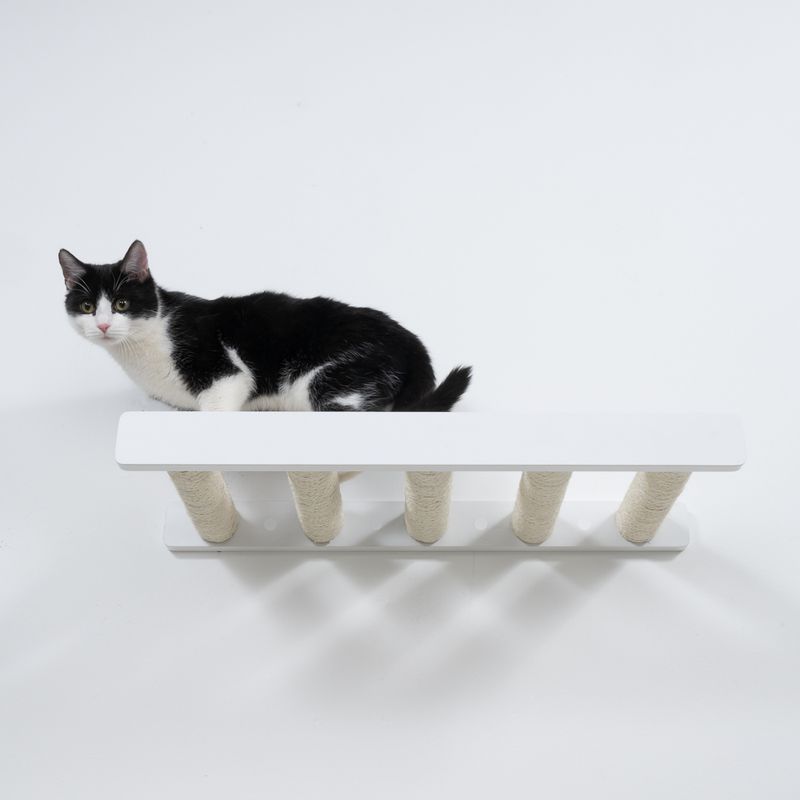 Modern Living San Francisco Scratching Ladder Black