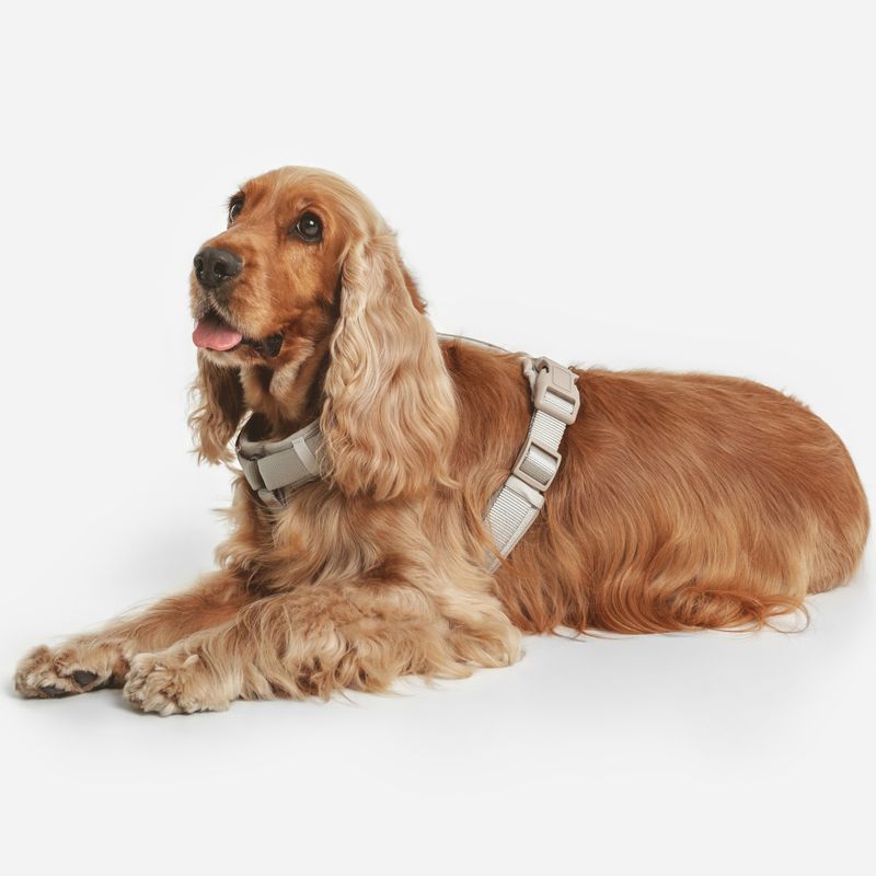 Nomad Tales Blush Harness - Taupe Size XS: 34-49cm Chest Measurement