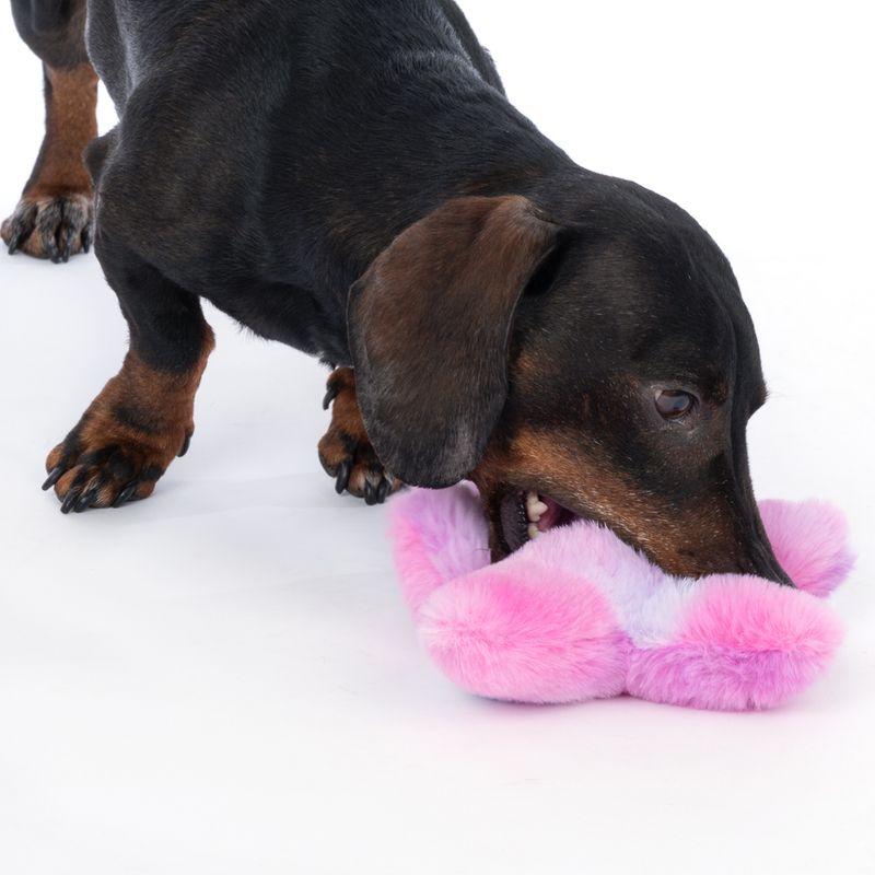 TIAKI Starfish Fantasy Plush Toy 18 x 15 x 5 cm (L x W x H)