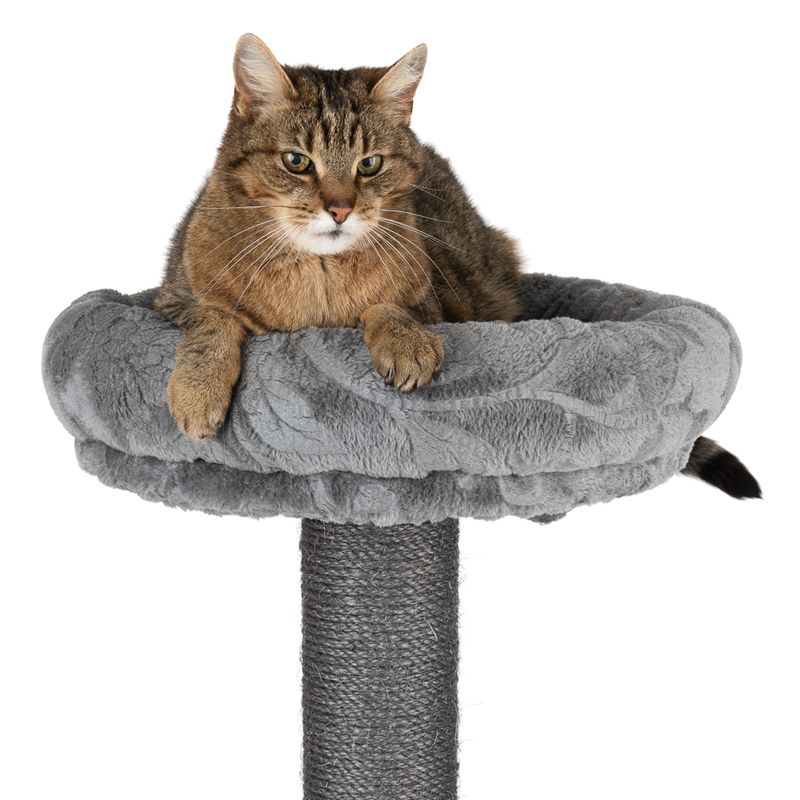 Royal Silver Cat Tree Grey / Floral