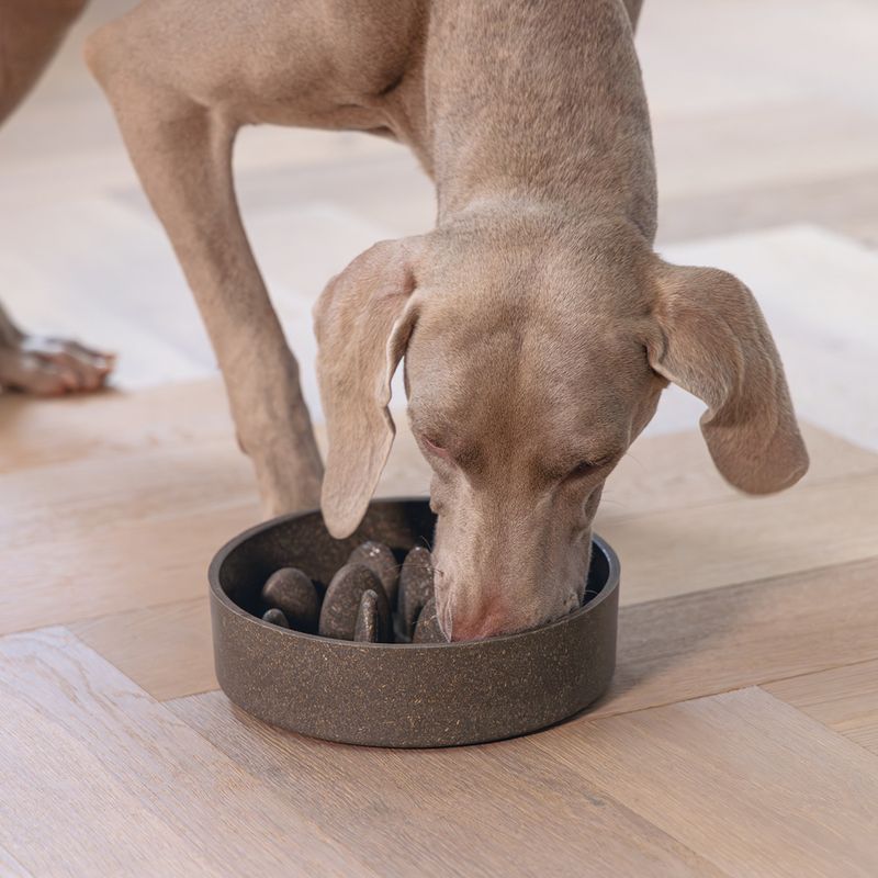 Designed by Lotte Bamboo Anti-Slip Dog Bowl 800ml