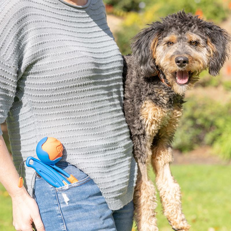 Chuckit! Fetch & Fold Mini Ball Launcher Size L: 48.9cm