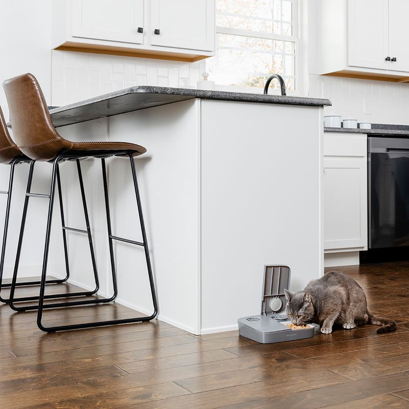 PetSafe® Automatic 2 Meal Pet Feeder 2 x 355ml