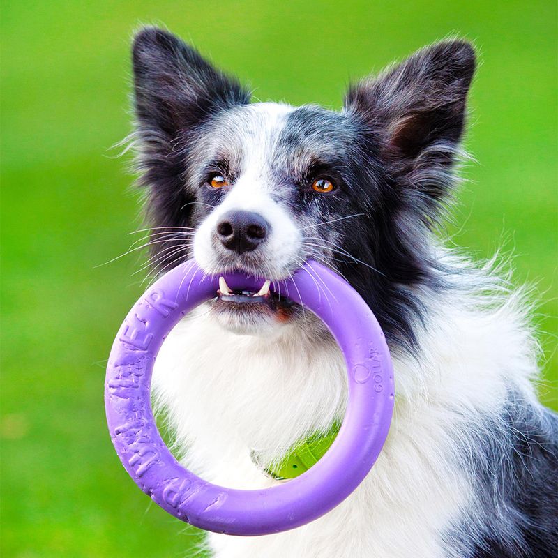 Ferplast Puller Dog Toy Midi: 19cm (Ø)