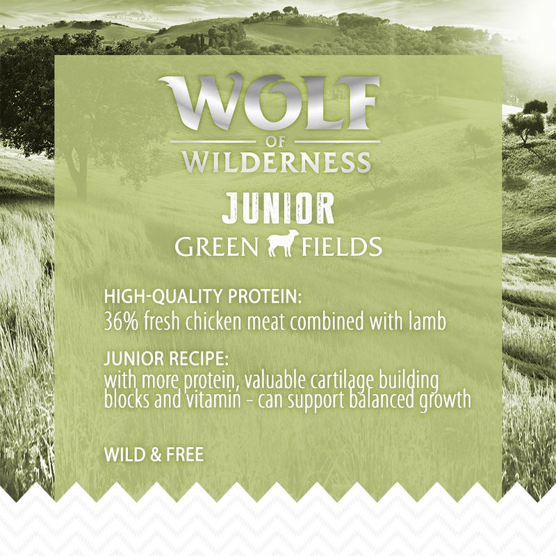 Wolf of Wilderness Junior \