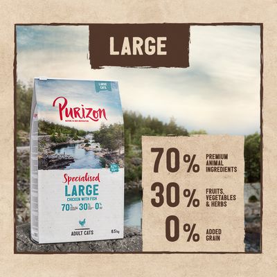 Purizon Large Adult Grain-Free Chicken & Fish 2.5kg