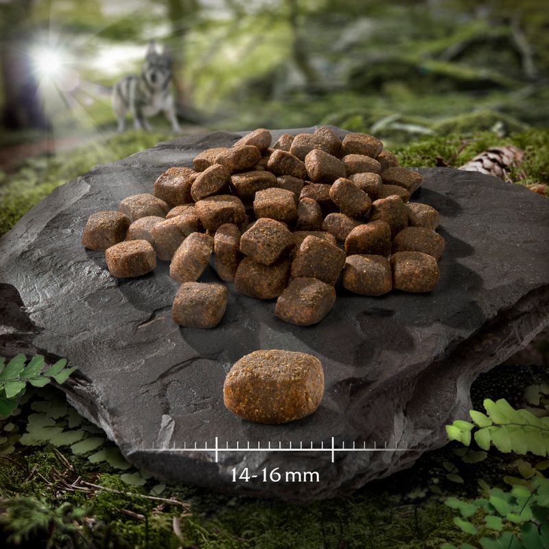 Wolf of Wilderness Soft \