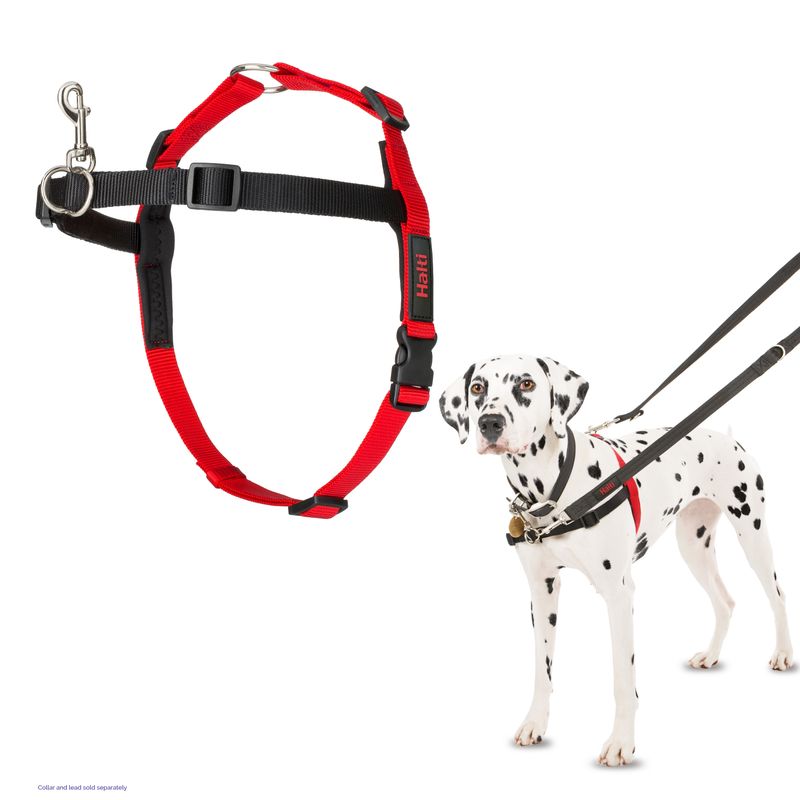 Halti Front Control Training Harness Size S: chest circumference 36 - 64cm