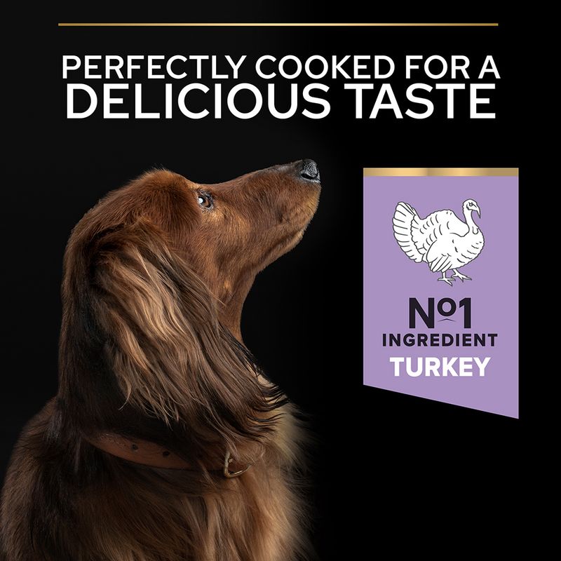 PURINA PRO PLAN Small & Mini Adult Sensitive Digestion Grain Free 7kg