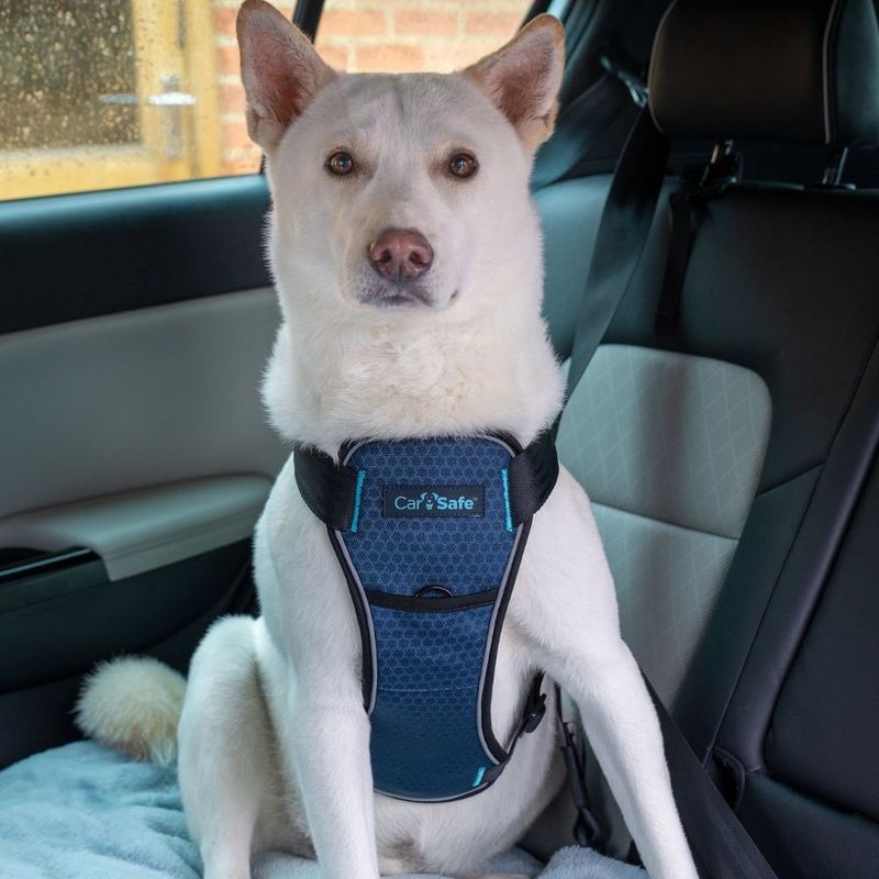 CarSafe Crash-Tested Car Harness for Dogs Size XS: 40 - 50cm chest circumference