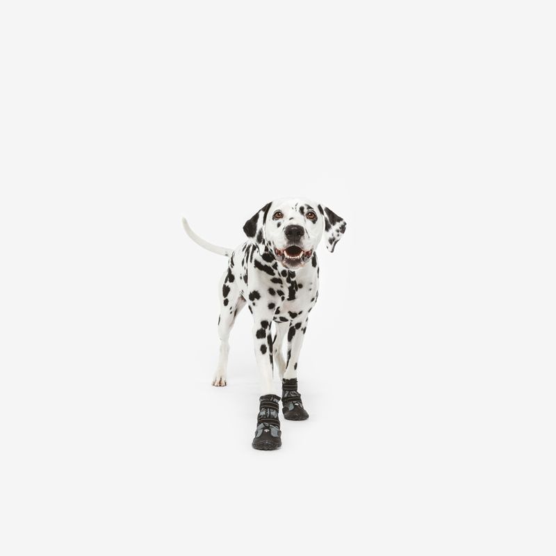 Nomad Tales Spirit Dog Shoes Size S