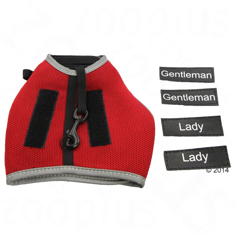 Trixie XCat Harness with Lead and Exclusive Stickers Black