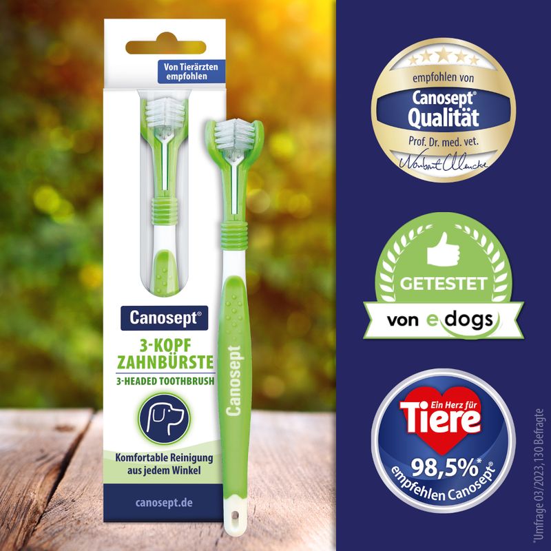 Canosept 3-Head Toothbrush 1 Toothbrush