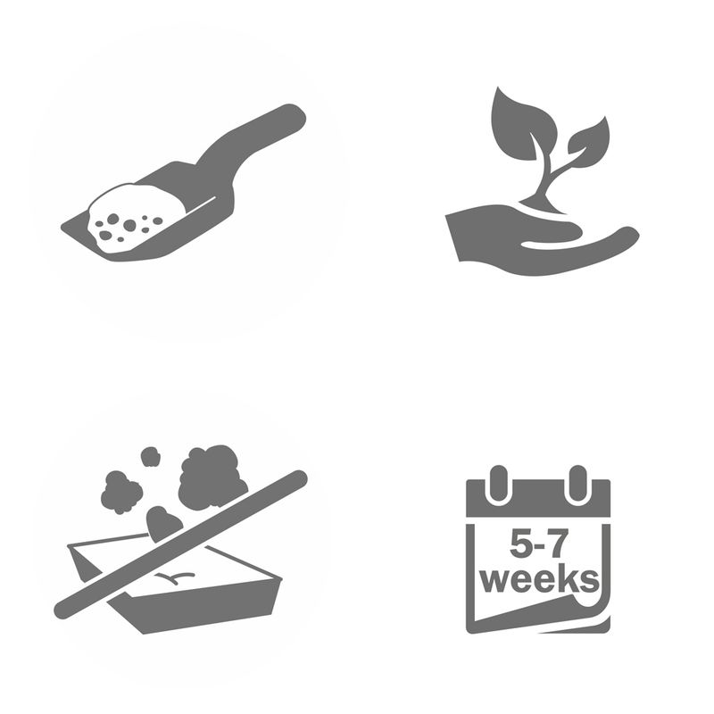 Cat's Best Original Cat litter 10l