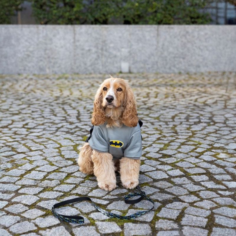 Warner Bros™ DC Batman Dog Costume Size S/M: 35cm Back Length