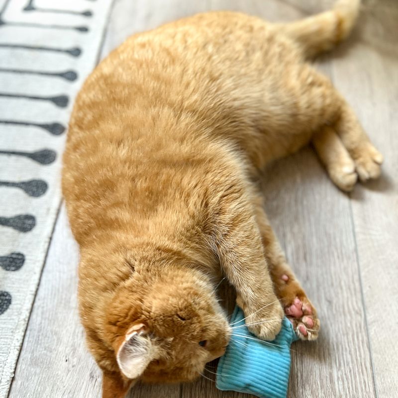 Aumüller Cord Cat Play Cushion Pastel 1 piece