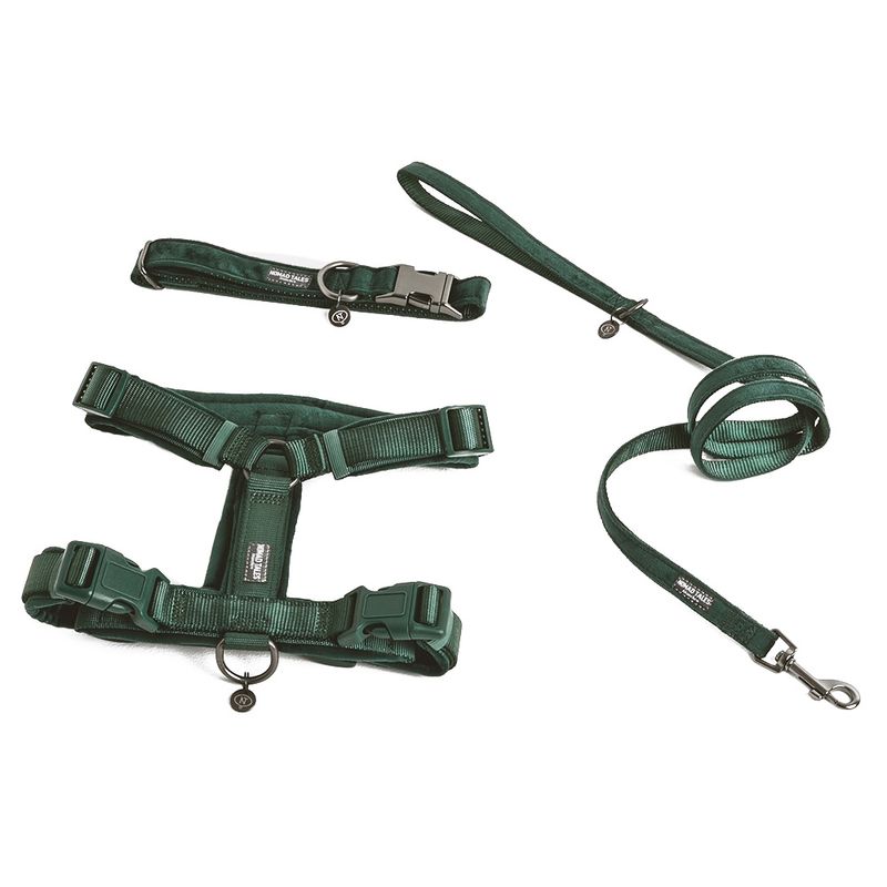 Nomad Tales Blush Collar - Emerald Size XS: 24 - 36 cm neck circumference, W 10 mm