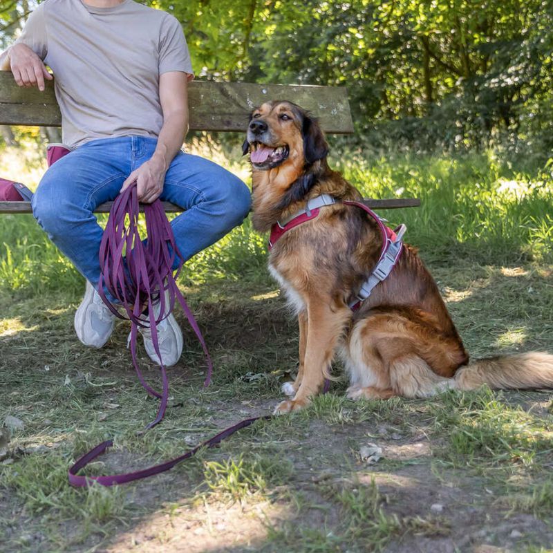 Trixie Rubber Drag Lead - Sangria Size: S-M: 5m long/15mm wide