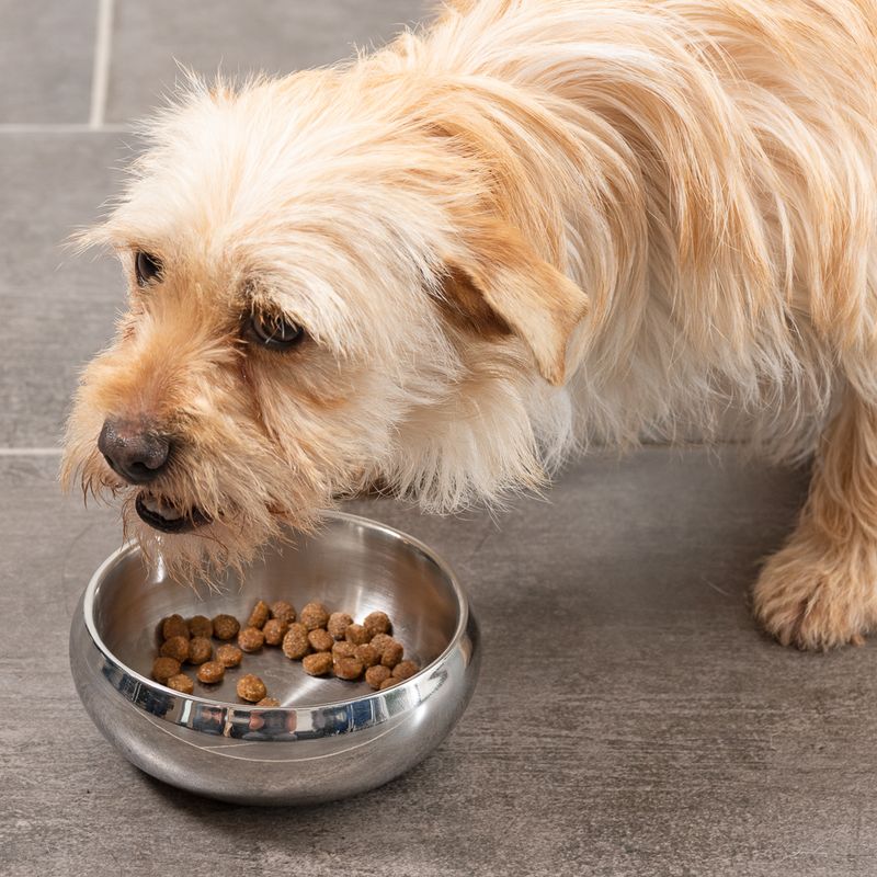 Modern Living Lhasa Double-walled Premium Bowl 1.2 Litres (diameter 19.3cm)