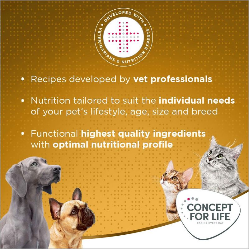 Concept for Life Indoor Cats 400g