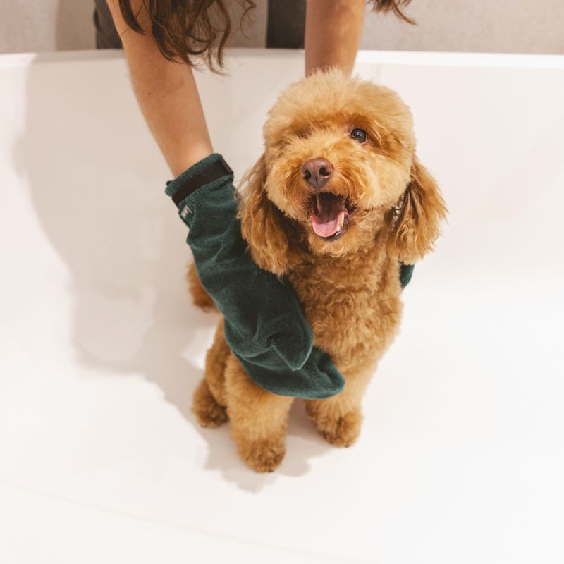 kooa Drying Glove 2 Gloves