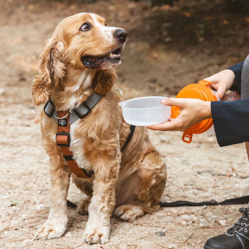 Nomad Tales Spirit Multi-Ring Harness Size S: approx. 40 - 58 cm Chest Circumference