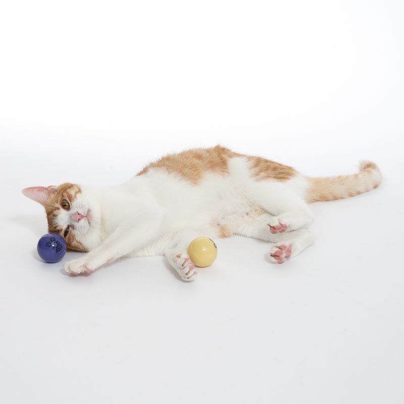 TIAKI LED Balls for Cats Set of 2