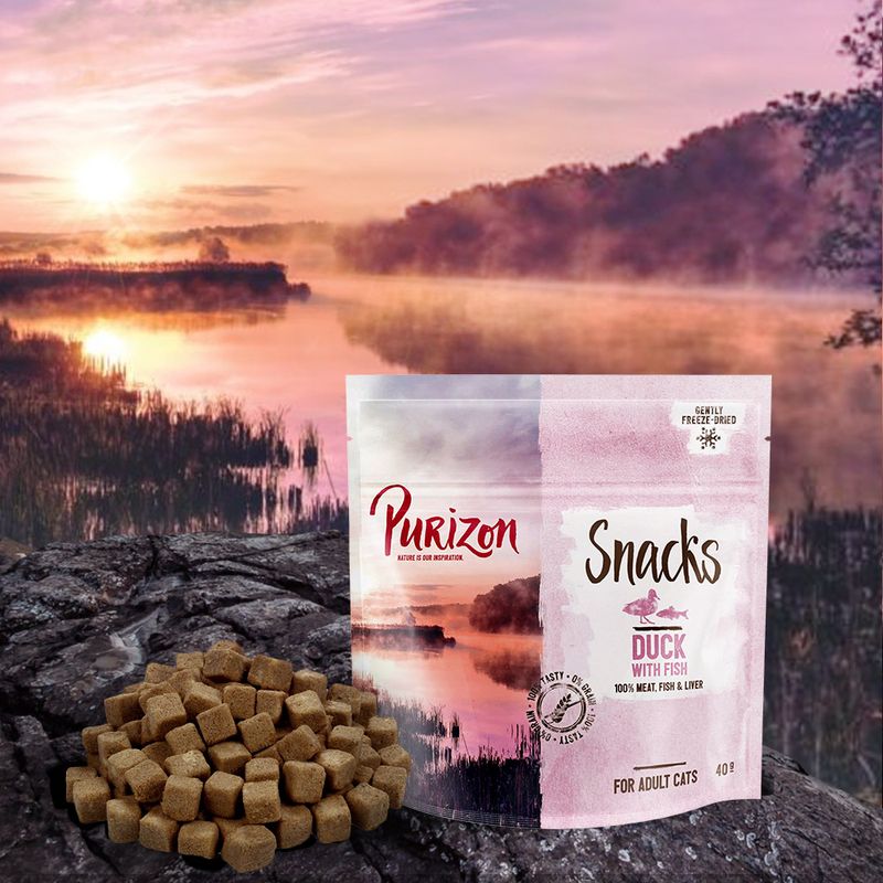 Purizon Cat Snacks Grain-Free Saver Pack 3 x 40g Mix
