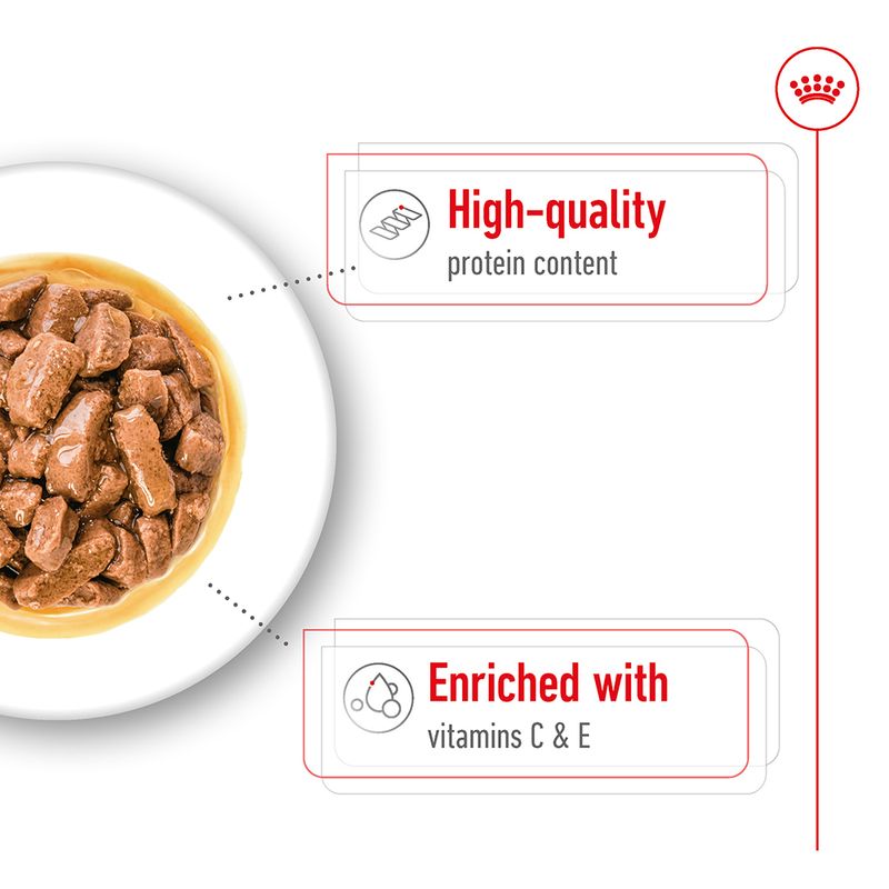 Royal Canin Medium Adult in Gravy 10 x 140g