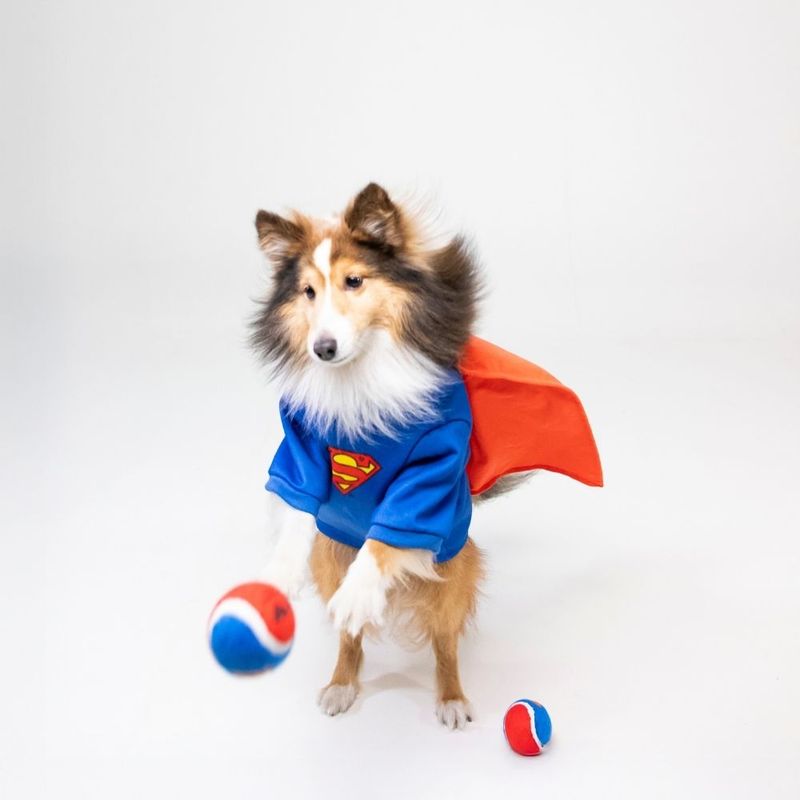 Warner Bros™ DC Superman Dog Costume Size S/M: 35cm Back Length
