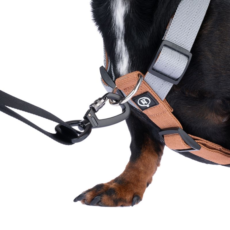 Nomad Tales Spirit Adjustable Dog Lead approx. 150 - 200 cm Length