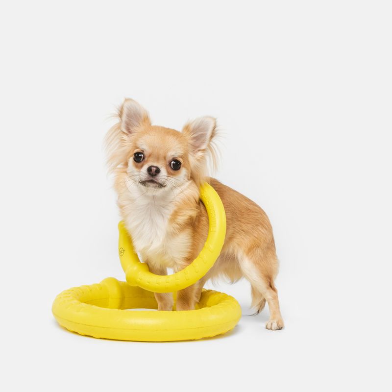 Nomad Tales Bloom Fitness Ring Size S: approx. Ø 18 cm