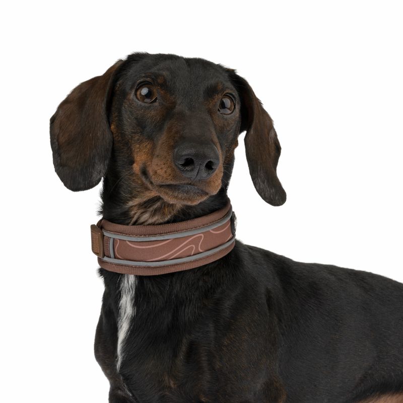 TIAKI Collar Soft & Safe - Brown Size M: 45 - 55 cm neck circumference, W 40 mm