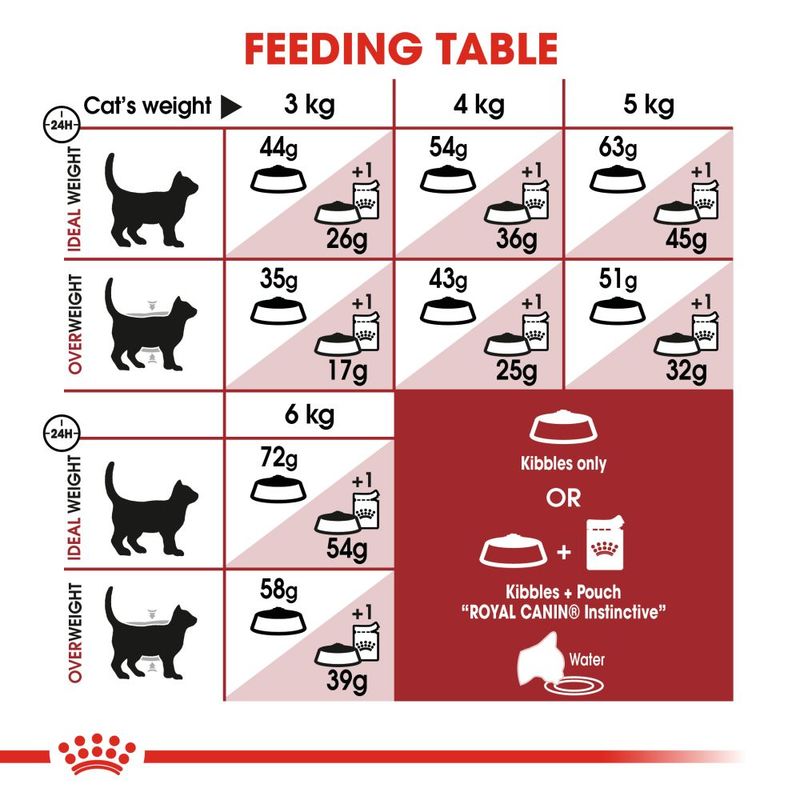 Royal Canin Regular Fit 400g
