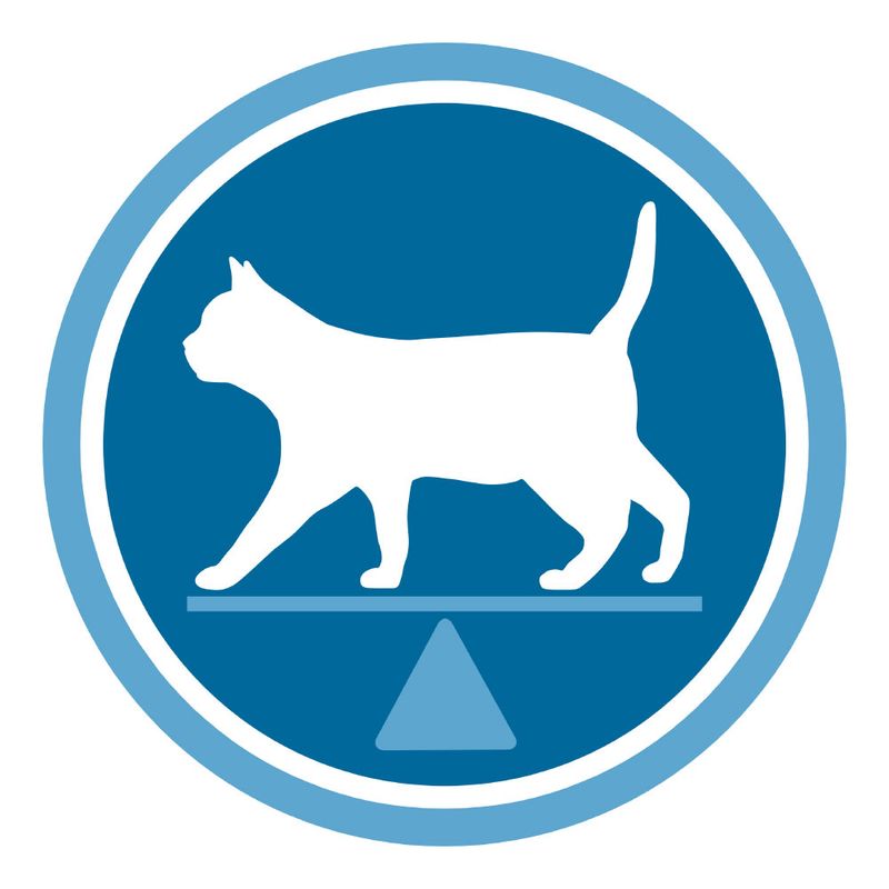 PURINA ONE Sterilised Turkey 2 x 3 kg