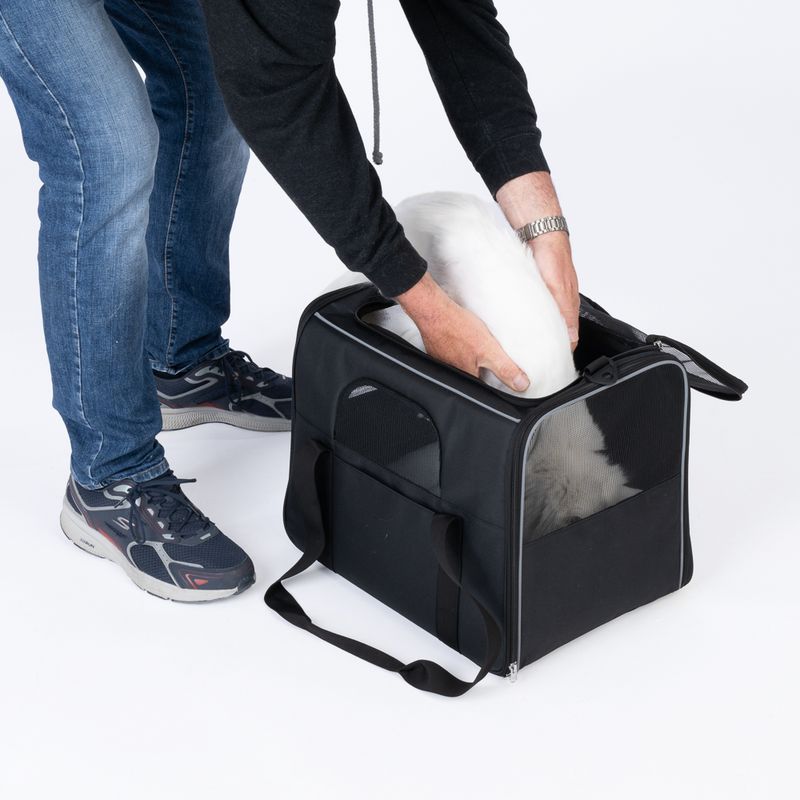 zooplus Basics Carry Bag Size S: 43.5 x 31 x 34 cm (L x W x H)