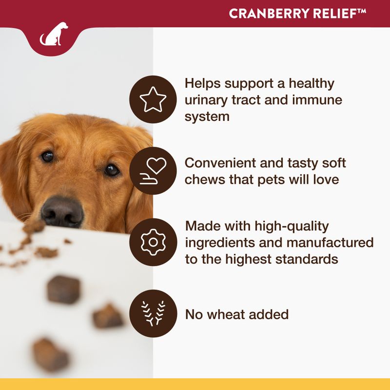 NaturVet Cranberry Relief 60 Chews