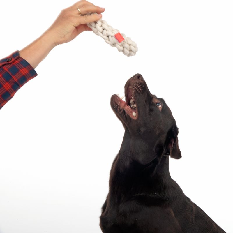 TIAKI Dog Toy Rope Ring Ø 18 x H 4,5 cm