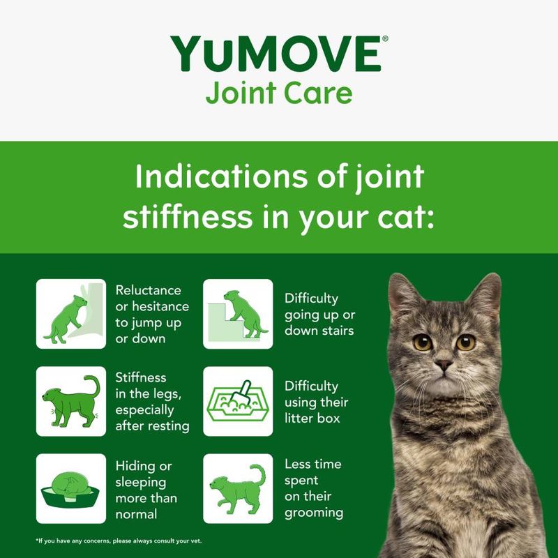 YuMOVE Joint Care for Senior Cats 60 Capsules