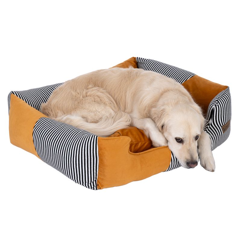 Modern Living Contemporary Casablanca Dog Bed 60 x 50 x 23 cm (L x W x H)