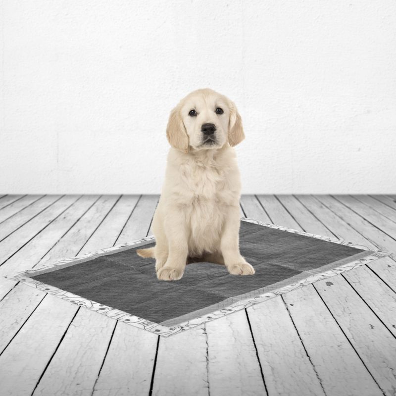Savic Puppy Trainer Pads with Activated Charcoal Medium: 45 x 30cm, 50 Pads