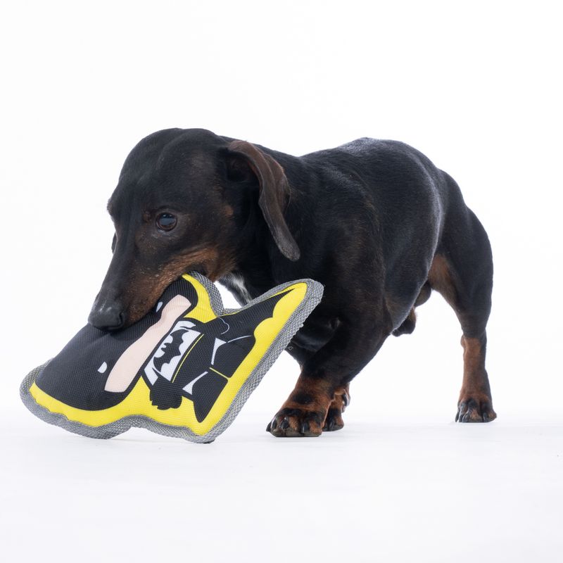 Warner Bros™ DC Batman Dog Toy 20 x 20 x 6 cm (L x W x H)